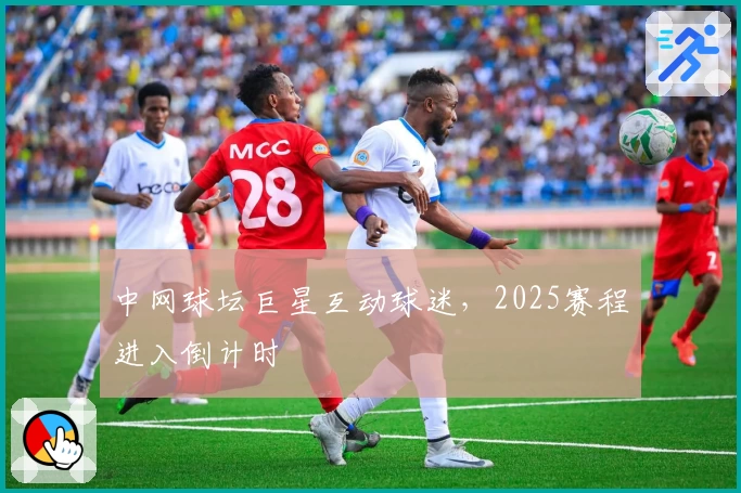 中网球坛巨星互动球迷，2025赛程进入倒计时