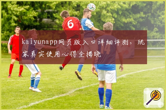 kaiyunapp网页版入口详细评测，玩家真实使用心得全揭晓