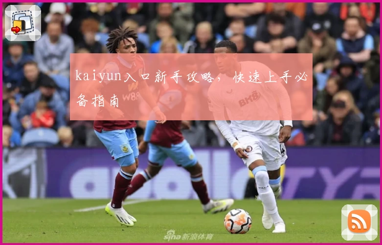 kaiyun入口新手攻略，快速上手必备指南