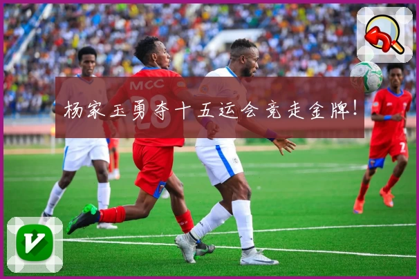 杨家玉勇夺十五运会竞走金牌！