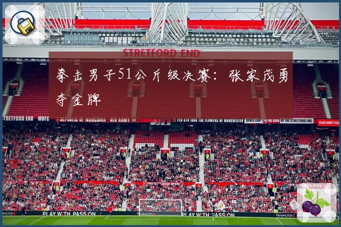 拳击男子51公斤级决赛：张家茂勇夺金牌